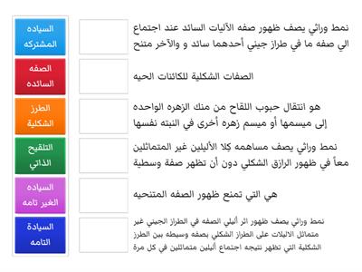 مجموعه  ريتاج وحلا وليمار وغنى وساره جميل وهدى وميساء 