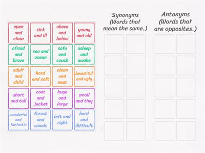 Synonyms and Antonyms Sort