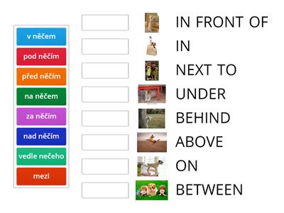 Prepositions of place with the dogs