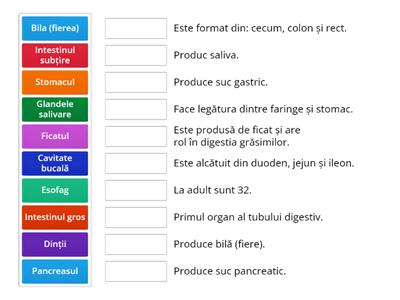  Exerciții - Sistemul digestiv la om