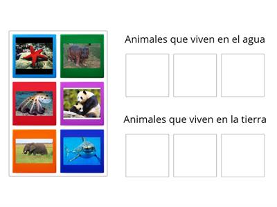 Actividad inicial Animales 