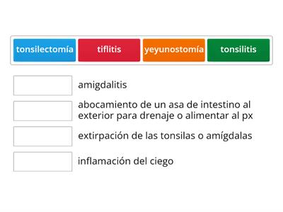 Terminología de aparato digestivo parte 7