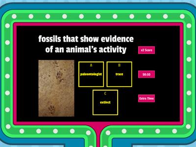 Fossils - Gameshow Quiz 