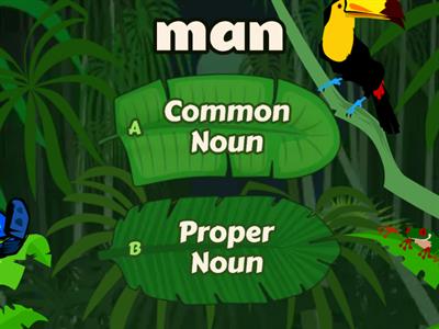 Common Nouns and Proper Nouns