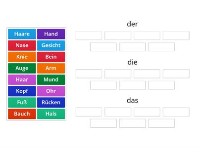 Körper Artikel 