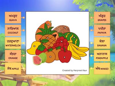 FRUITS NAME IN PANJABI ਫਲਾਂ ਦੇ ਨਾਂ