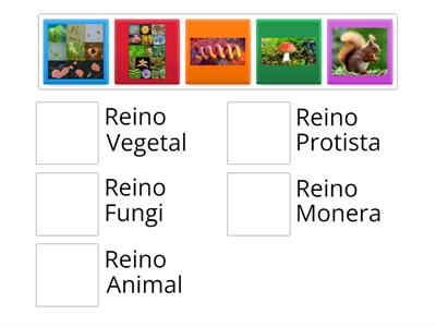 Clasificación de los Seres Vivos