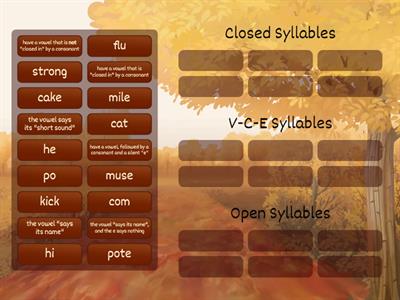 Wilson 5.1 - Identifying Syllable Types