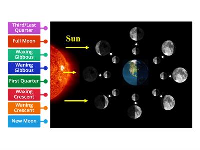 Phases of the Moon Diagram