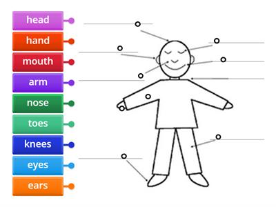  Head, shoulders song + hand and arms