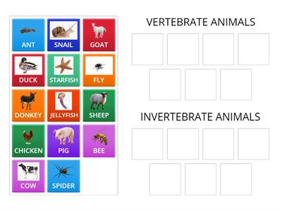 Vertebrate or invertebrates animals.