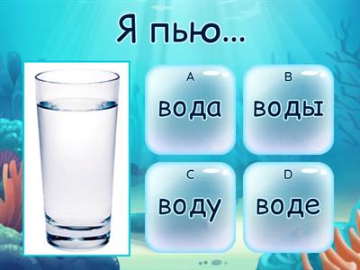 Винительный падеж (Accusative case)