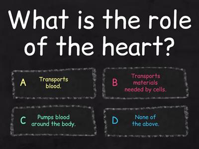 The Heart-Location, structures and function