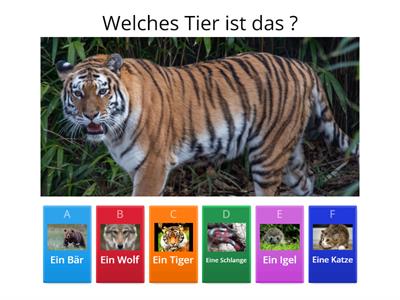 Die Tiere