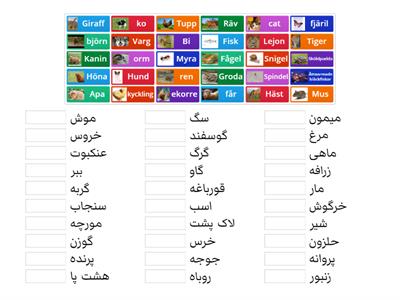 حیوانات  به فارسی 