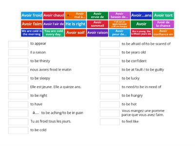 The Idiomatic Expressions with "Avoir