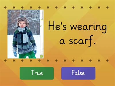 Weather and Clothes (wearing, present continuous): Look at each picture.  Read the sentence. Choose true or false.