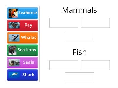 Kids 3 - Unit 6 - Act 4 - Fish or mammals?