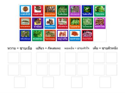 ตัวยา 9 รส +รูป (1.1)