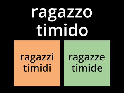 Come si fa il plurale? - sostantivi e aggettivi