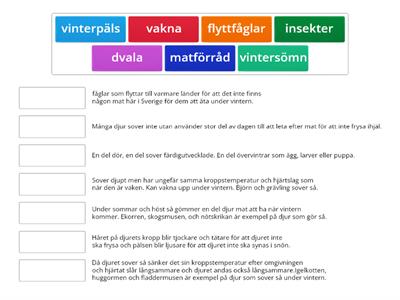 Djur på vintern