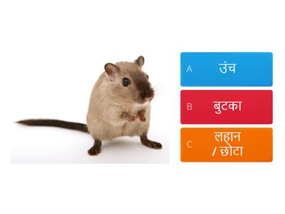Adjectives in Marathi -1