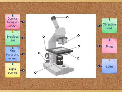 Labelling a Microscope