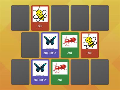 Insects memory game