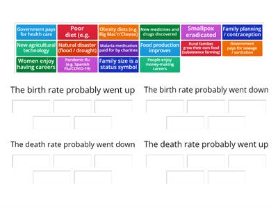 Year 8 Birth and Death Rate