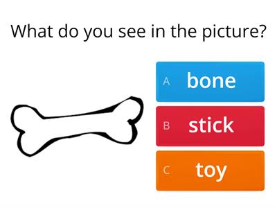 Science 4, skeleton