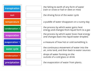 Water Cycle Review 