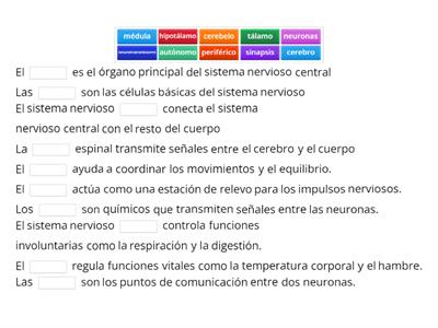 Actividad Sistema Nervioso