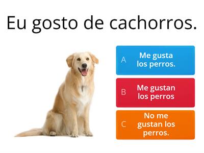 Escolha as frases corretas em espanhol - Verbo Gustar