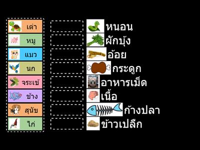 เราไปให้อาหารของสัตว์กัน