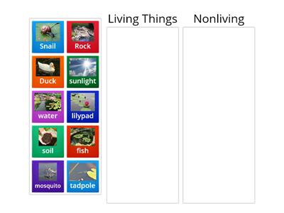 Explore- Categorizing Living and Nonliving