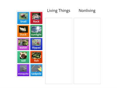 Explore- Categorizing Living and Nonliving
