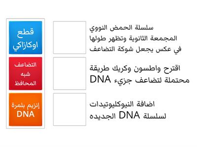 تضاعف DNA