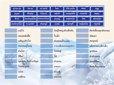 ป.3 life cycle eng-sci