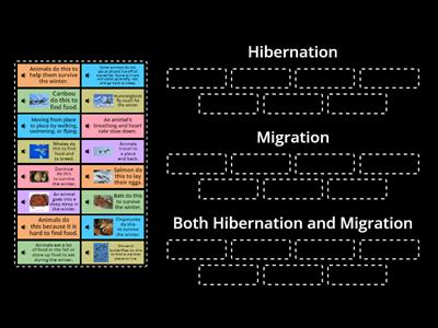 WordWall:  Hibernation or Migration Sort (Read )
