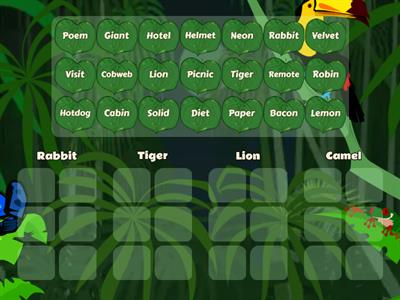 Rabbit, Tiger, Camel and Lion Syllables