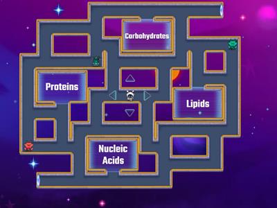 Biomolecules Alien Escape