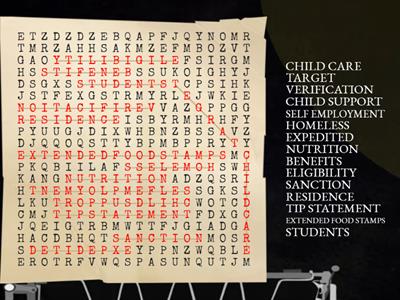 CT2 Word Search