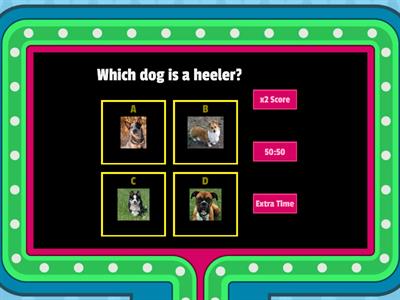 Herding Dog Breeds 