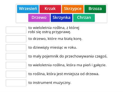 rz po spółgłosce definicje