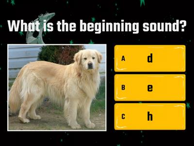 What is the first sound?  word pictures