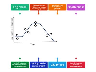 Growth phase of Bacteria 