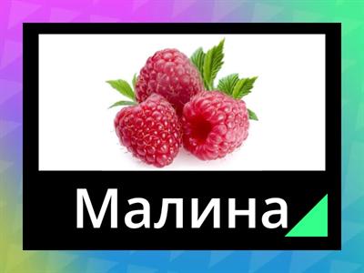 Растения и животные болот