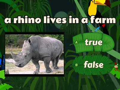 animals trivia n2