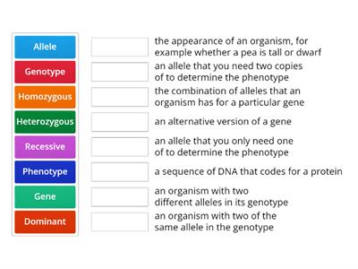 Genetics Jargon