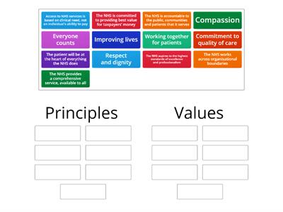 Principles and Values of the NHS
